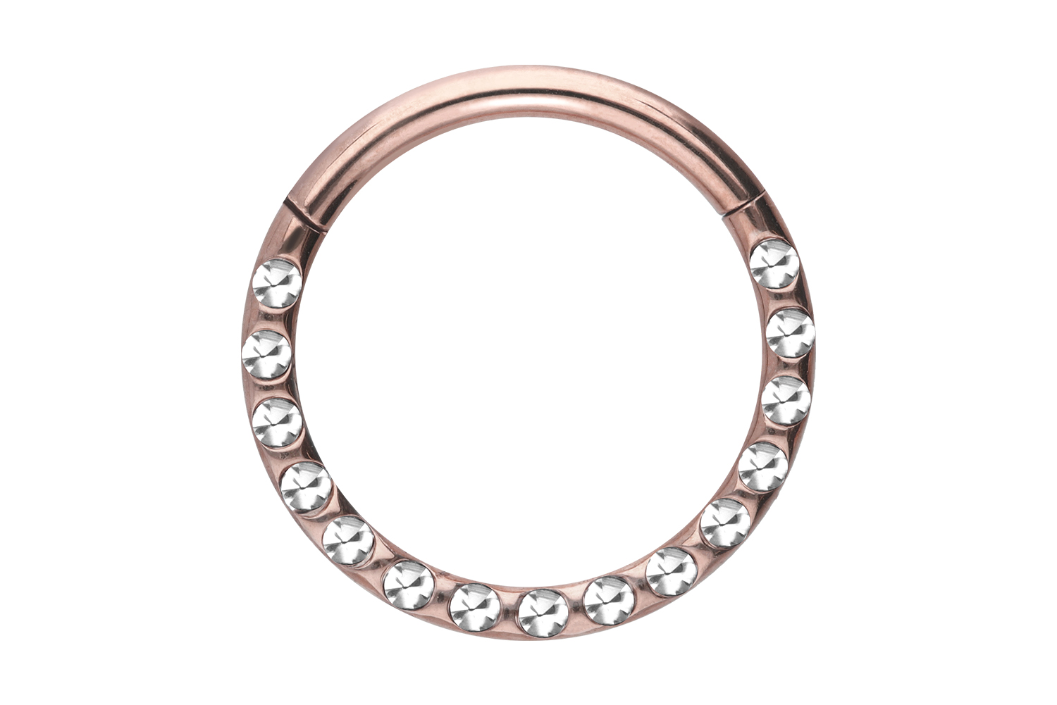 Titan Segmentring Clicker Piercing KRISTALLE + EPOXY